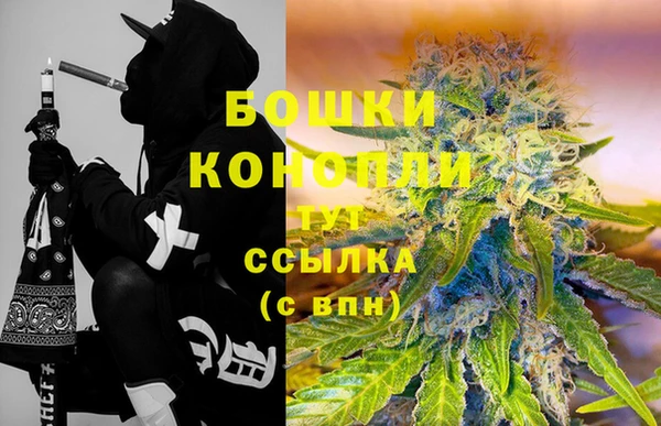 прущие крисы Вяземский