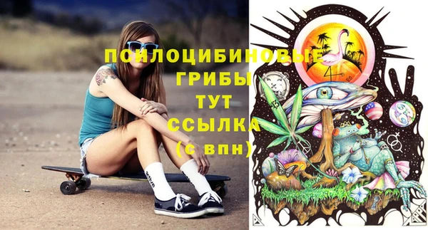 прущие крисы Вяземский