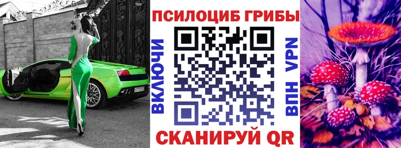 omg как зайти  Заводоуковск  Галлюциногенные грибы ЛСД 
